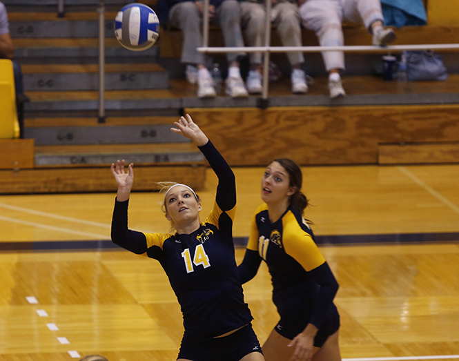 Sophmore Jenny Buczek sets the ball for her teammates during the Mizuno Classic Finale on September 8. The Golden Flashes fell to Marshal 3-0. Photo by Coty Giannelli.