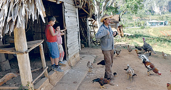 A stop at a tobacco farm family in Vinales to learn about tobacco harvest and rolling process is one of the planned stops on Cuba Si!!, the Kent State week-long study abroad visit to Cuba this coming March.. Photo courtesy of Anne Morrison.