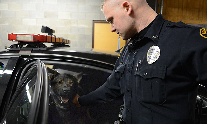 Kent Police Sgt. Dominic Poe prepares Iron, his new police dog from Czechoslovakia, for a night watch Thursday, Feb. 25, 2014. Iron will be training at Von der Haus Gill German Shepherds in Wapakoneta, Ohio starting March 17 in order to become an official police dog.