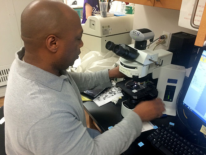 Sean Veney, associate professor of biological sciences at Kent State, examines the differences between a male and female animal model in a Cunningham Hall laboratory.