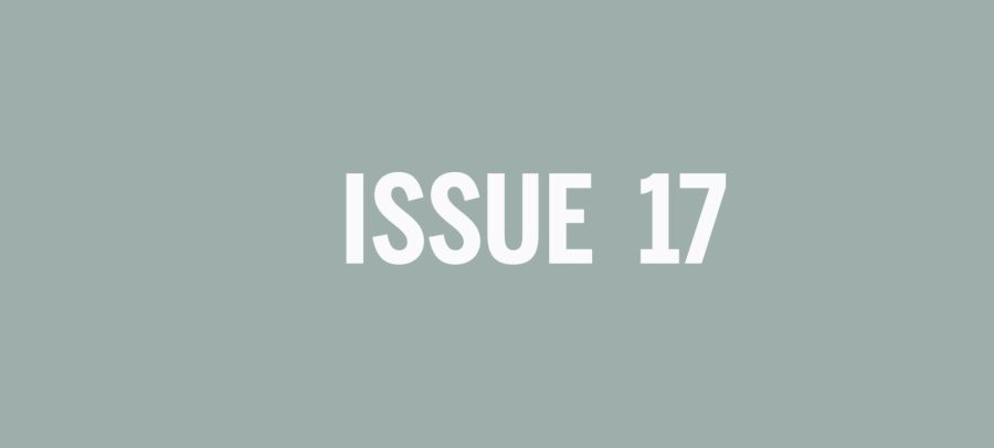 Issue 17