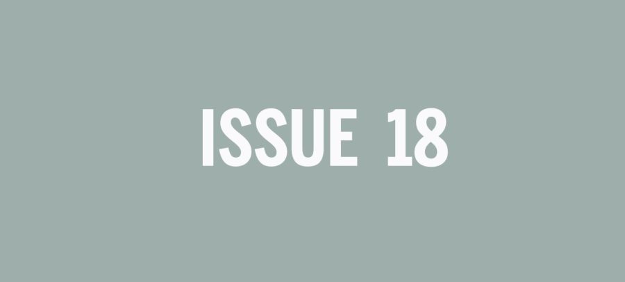 Issue 18