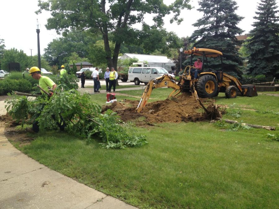 Workers continue to work on transplanting a tree outside Cunningham Hall on Friday, June 19, 2015. During the transplanting process, workers struck a shallow natural gas line, causing a gas leak that led to the evacuation of the Student Center, Cunningham Hall, Smith Hall and the University Library.