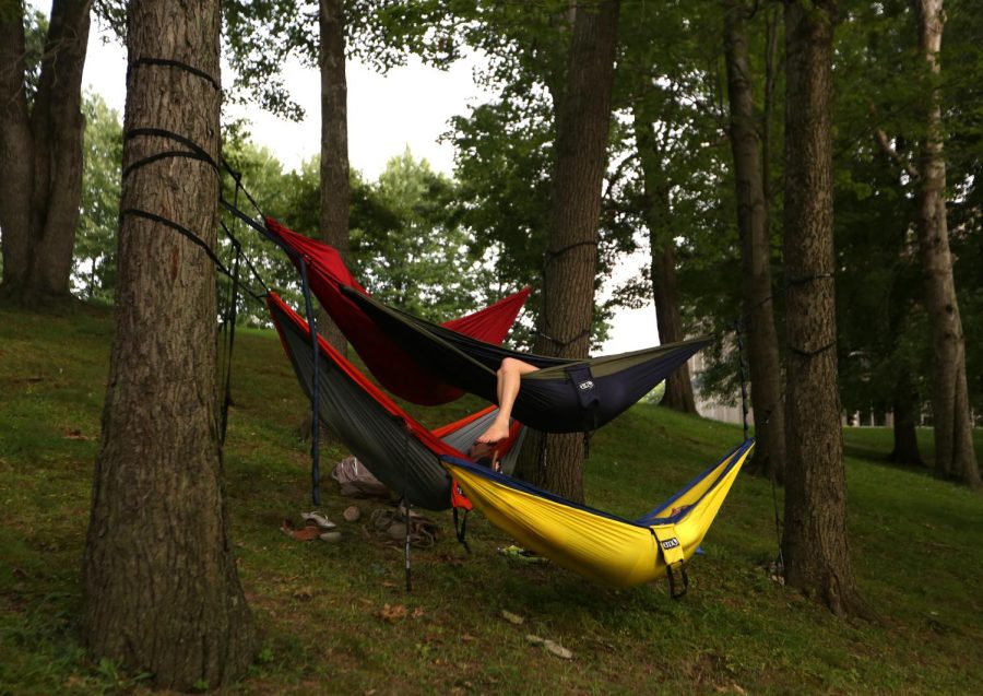 Students lie in hammocks on memorial hill on Sept. 1, 2014.