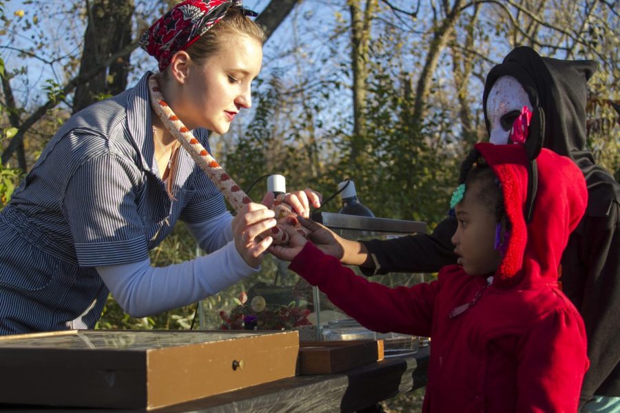 Organismal Biology major Valerie Kramer shows off her pet snake Archimedes to children at the BooU event at Kent Stark campus on Oct. 29, 2015.