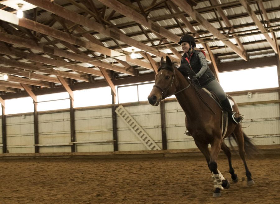 Katie Dosen, a sophomore exploratory major, rides the horse Flynn during the Kent State equestrian team’s practice on Friday, Feb. 26, 2016 at their barn in Newbury, Ohio. Dosen is one of two girls going to the Intercollegiate Horse Show Association Zone 6 Region 1 Regional Competition.