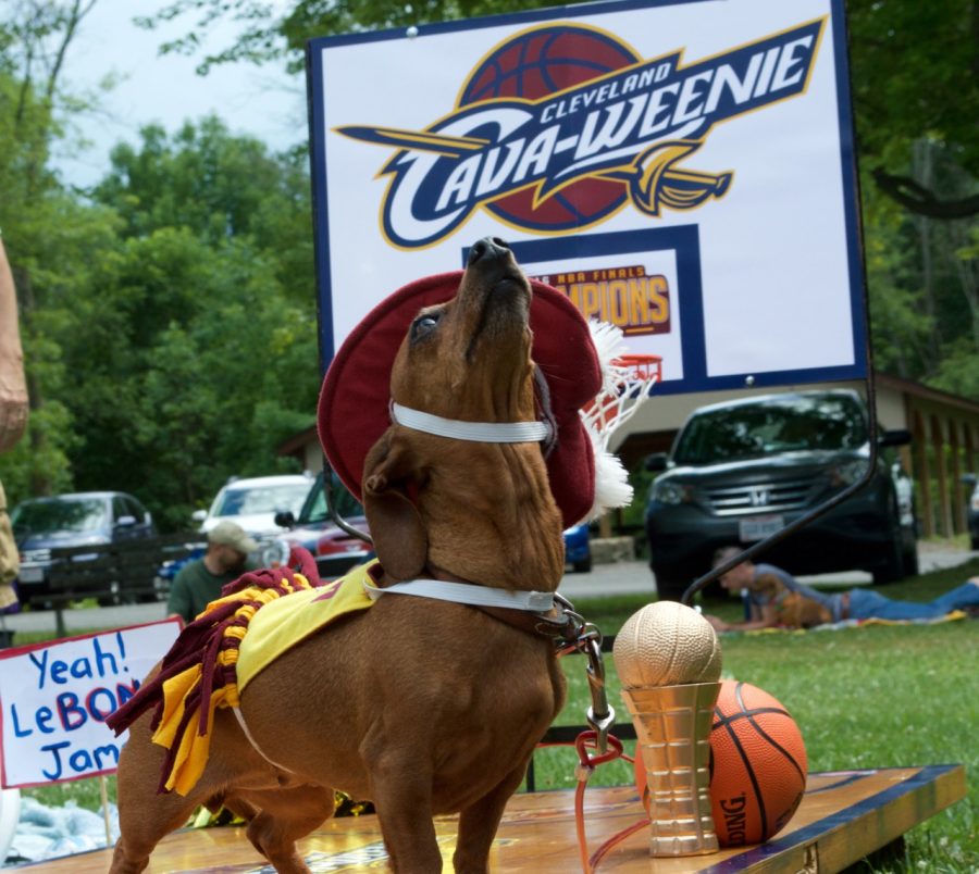 Dorothy, also known as "Le-Bone James" dresses up as a "Cava-Weenie" for the picnic's costume contest.  