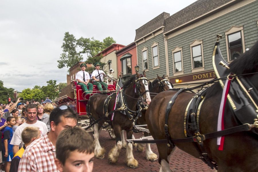 The Budweiser Clydesdales gallop down Franklin Avenue in downtown Kent on Thursday, Aug. 11, 2016.