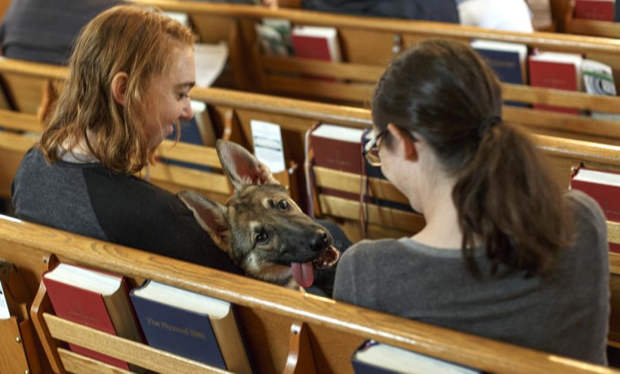 Jensen (middle) sits between Myara and Amanda Morrison at the "Blessing of the Animals" service at Christ Episcopal Church in Kent, Ohio on Sunday, Oct. 2, 2016.