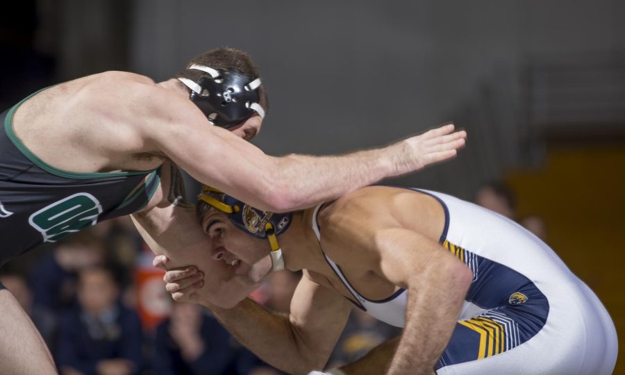 Kent State junior Stephen Suglio makes his move on Ohio red-shirt freshman Bailey Faust at the M.A.C. Center on Sunday, Jan. 22, 2017. Kent lost 2-43.