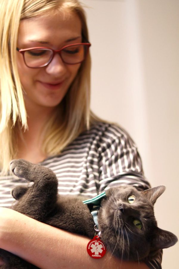 Junior advertising major Alissa Woodward holds her assistance cat, Gunner, in Olsen Hall on Monday, Feb. 13, 2016. Gunner aids Woodward in coping with her anxiety while in college. “It helps to come home to something solid, something unwavering,” Woodward said.