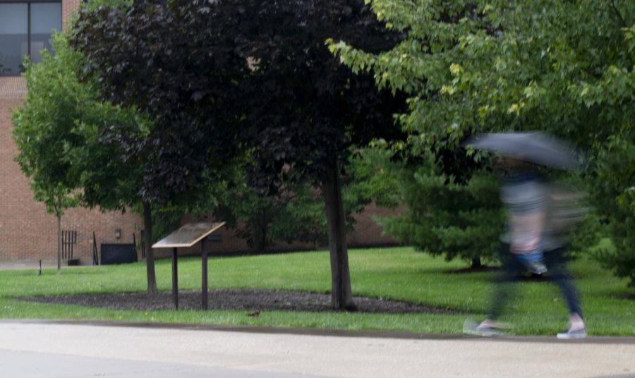 A student walks past the 9/11 memorial trees on Sept. 10, 2018.