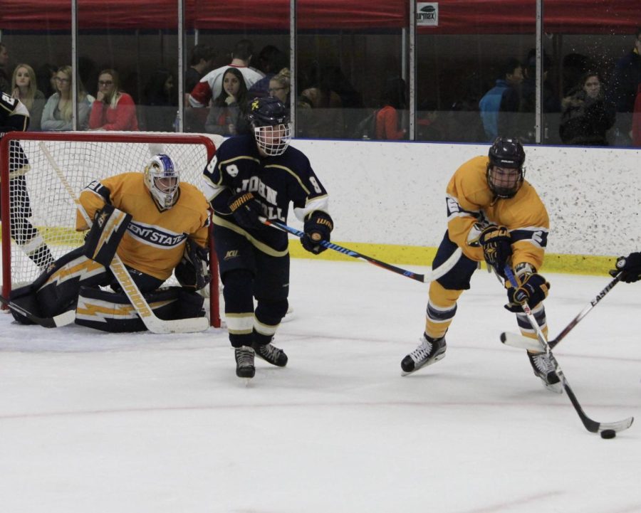 Hockey completes sweep against Rochester College