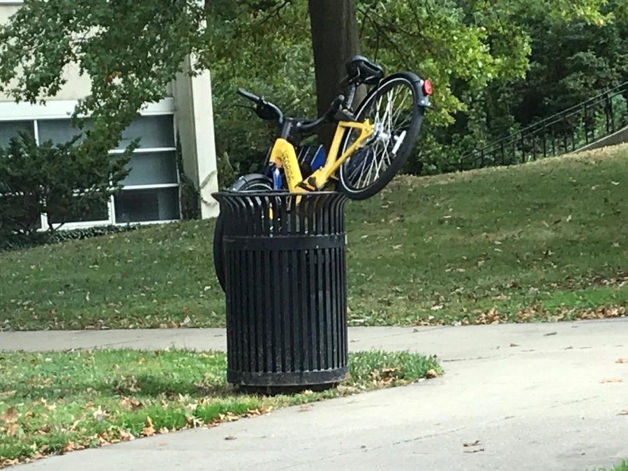 A VeoRide in a trashcan near Rockwell Hall Oct. 4, 2019. Photo courtesy of Shayne Hanz. 