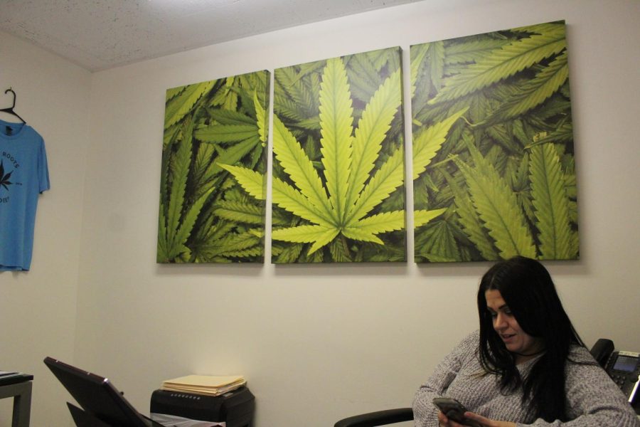 Akron Marijuana Card office manager Maria Bonvechio sits in her office at the Akron Marijuana Card Office, November 19, 2019. Bonchevio also manages the Youngstown Marijuana card office.