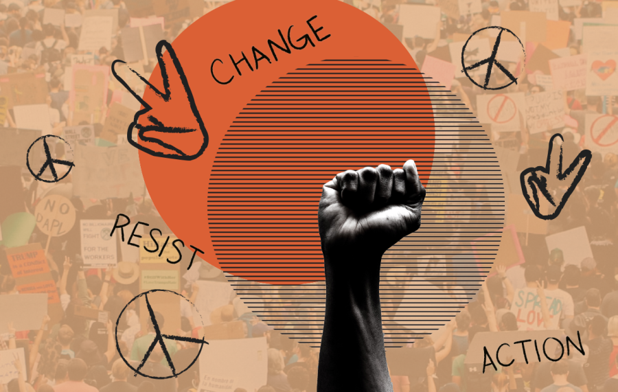 activism (A MAG