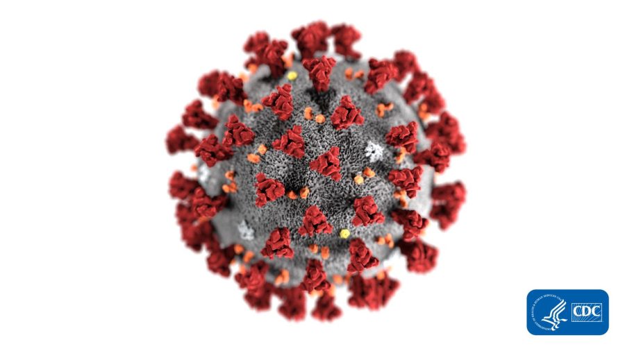 This illustration, created at the Centers for Disease Control and Prevention (CDC), reveals ultrastructural morphology exhibited by coronaviruses. Note the spikes that adorn the outer surface of the virus, which impart the look of a corona surrounding the virion, when viewed electron microscopically. A novel coronavirus virus was identified as the cause of an outbreak of respiratory illness first detected in Wuhan, China in 2019.