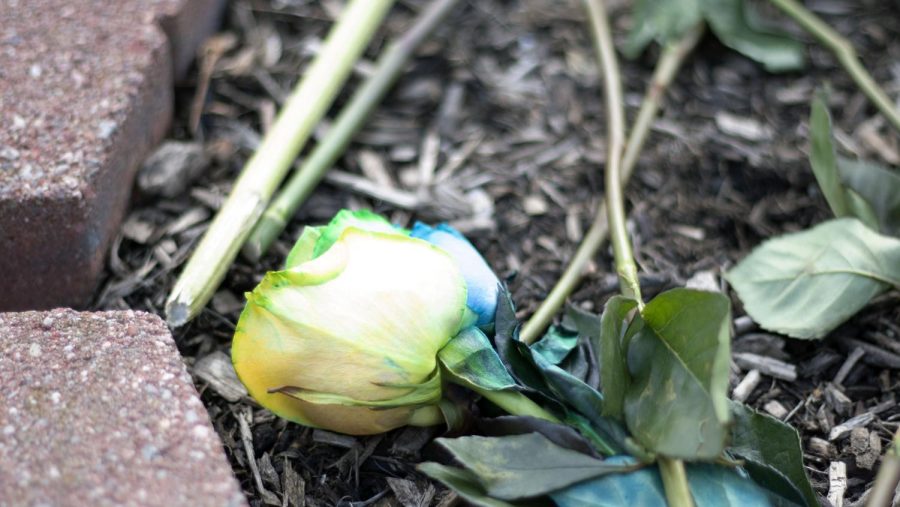 The brothers at the Phi Delta Theta's house laid tie-dye flowers as Cameron was known to wear tie-dye shirts. Feb 3, 2020