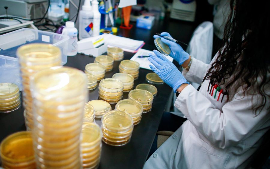 NUTLEY, NJ - FEBRUARY 28: A researcher works in a lab that is developing testing for the COVID-19 coronavirus at Hackensack Meridian Health Center for Discovery and Innovation on February 28, 2020 in Nutley, New Jersey. The facility develops novel therapies for some of the world's most difficult diseases. At least 53 countries have reported cases of infection. (Photo by Kena Betancur/Getty Images)