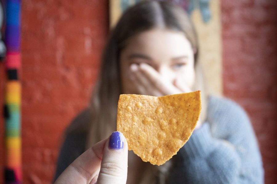 A "local" chip in the shape of Ohio at Taco Tonto's, located at 123 Franklin Ave. Taco Tonto's was voted second best gluten-free dining in Kent.