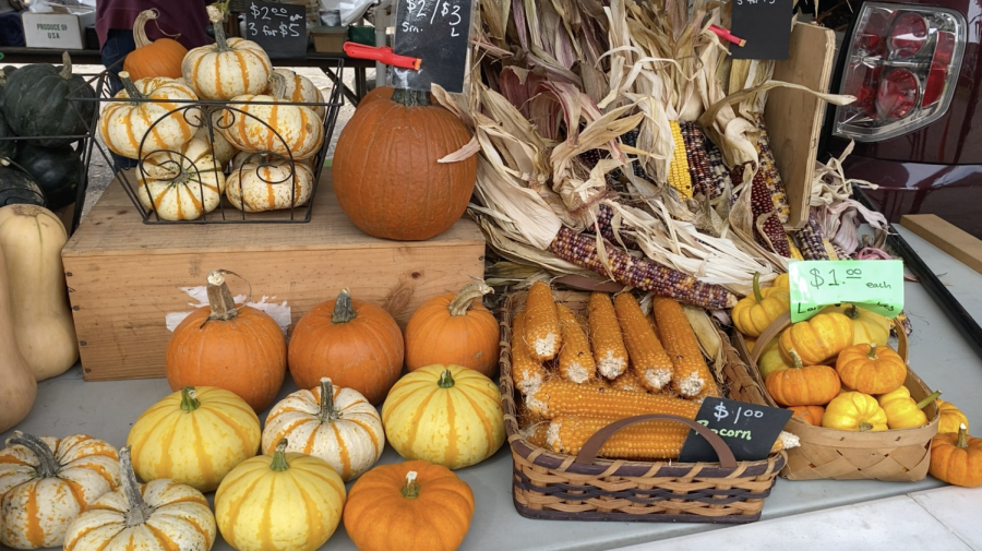 A table of fall vegetables is just one of dozens at the Haymaker Farmers’ Market on October 10, 2020.