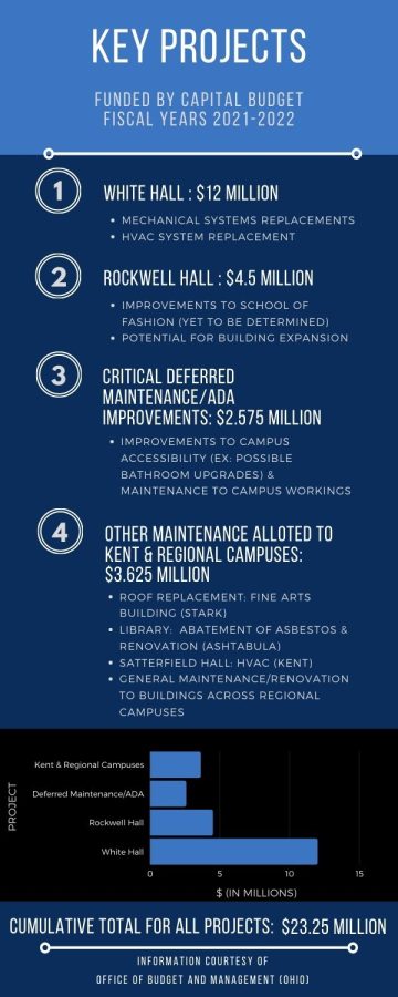 Capital Budget Infographic