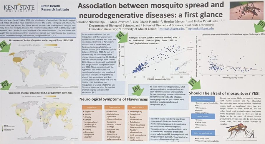 The presentation of the winner of the 2020 annual undergraduate symposium. The research study was done by Caroline Nitirahardjo for the biological science field and focused on the association between mosquito spread and neurodegenerative diseases. 