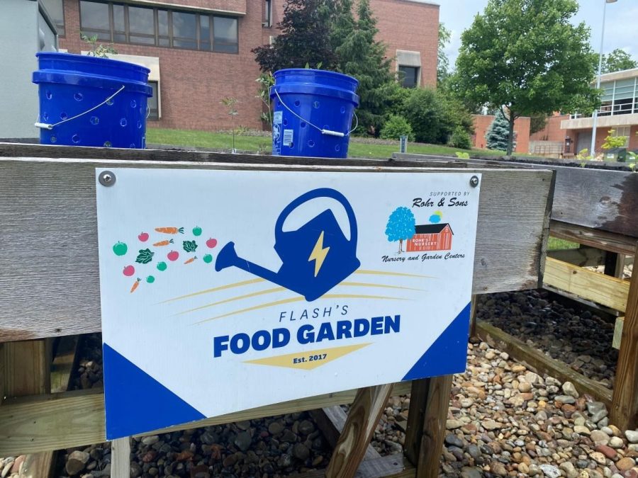 Flash's Food Garden was started in 2017 by Christopher Post of Kent State Stark.