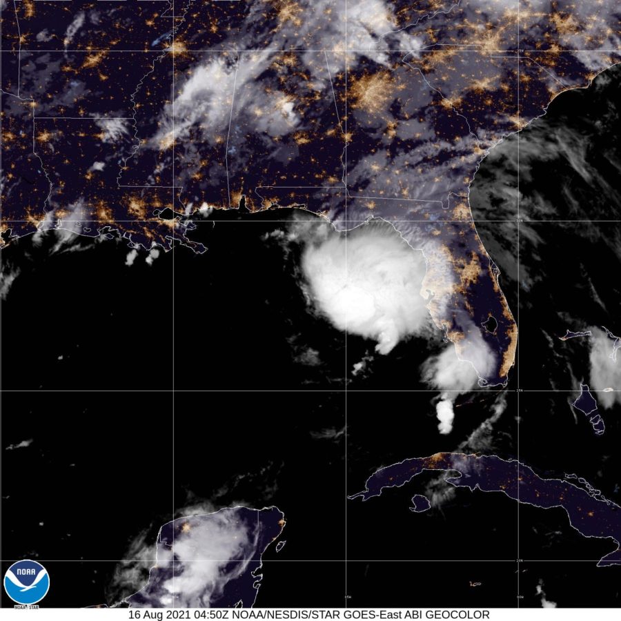 A Tropical Storm Warning for Fred is in effect for the coast of the Florida Panhandle from Navarre to the Steinhatchee River.