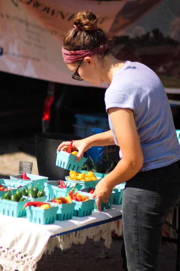 Carly Zimmerman, farm manager at Crown Point Ecology Center, organizes a small basket of peppers at the Haymaker Farmers Market on Saturday, Sept. 11, 2021.