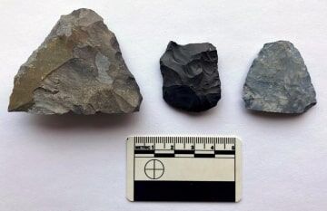 Photos of archeological discoveries made by Kent State archeologists and university professors Michelle Bebber and Metin Eren. Several potential artifacts washed up on the shore of Lake Erie Edgewater Park in Cleveland, Ohio.