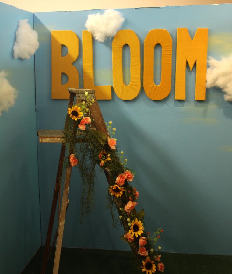 "Bloom" is a backdrop option at The Cultura Collective, a new selfie studio in Kent, Ohio. 