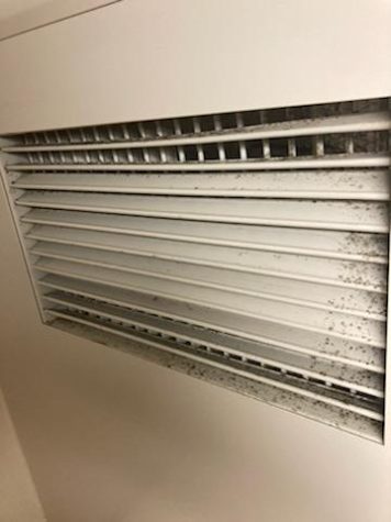 The mold reported in Hevin Wilkey's vent in Fletcher Hall