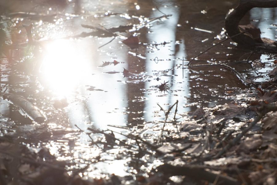 Sunlight sparkles off of pools of water in the Simsbury Park as warmer weather arrives following the the winter storm that swept through Ohio on Jan. 9th, 2022.