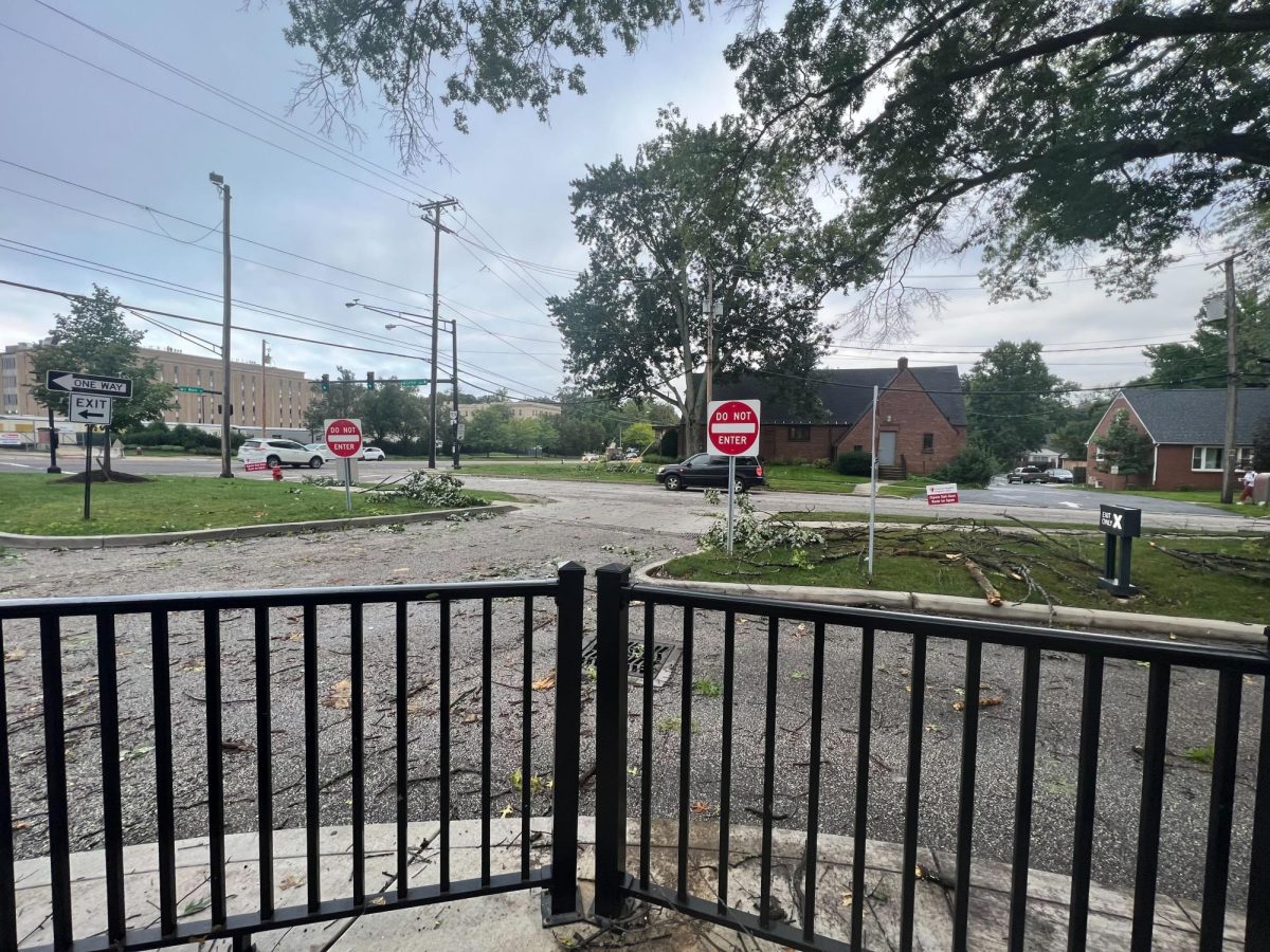 Tree debris scattered around the parking lot and surrounding area of the Starbucks located at 1005 E. Main St. on Aug. 25, 2023.