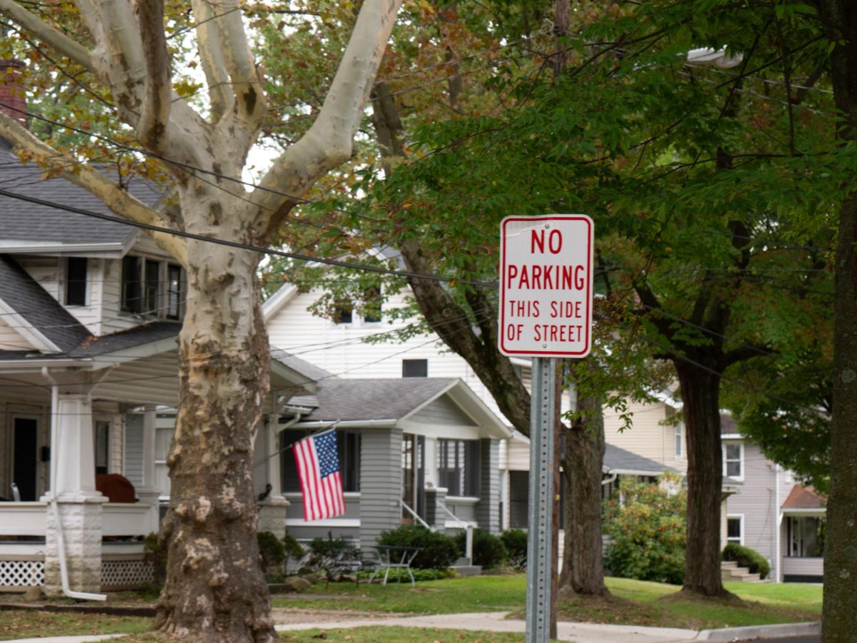 Some of the Gold Zone Rentals available on Sherman St. in Kent, OH.