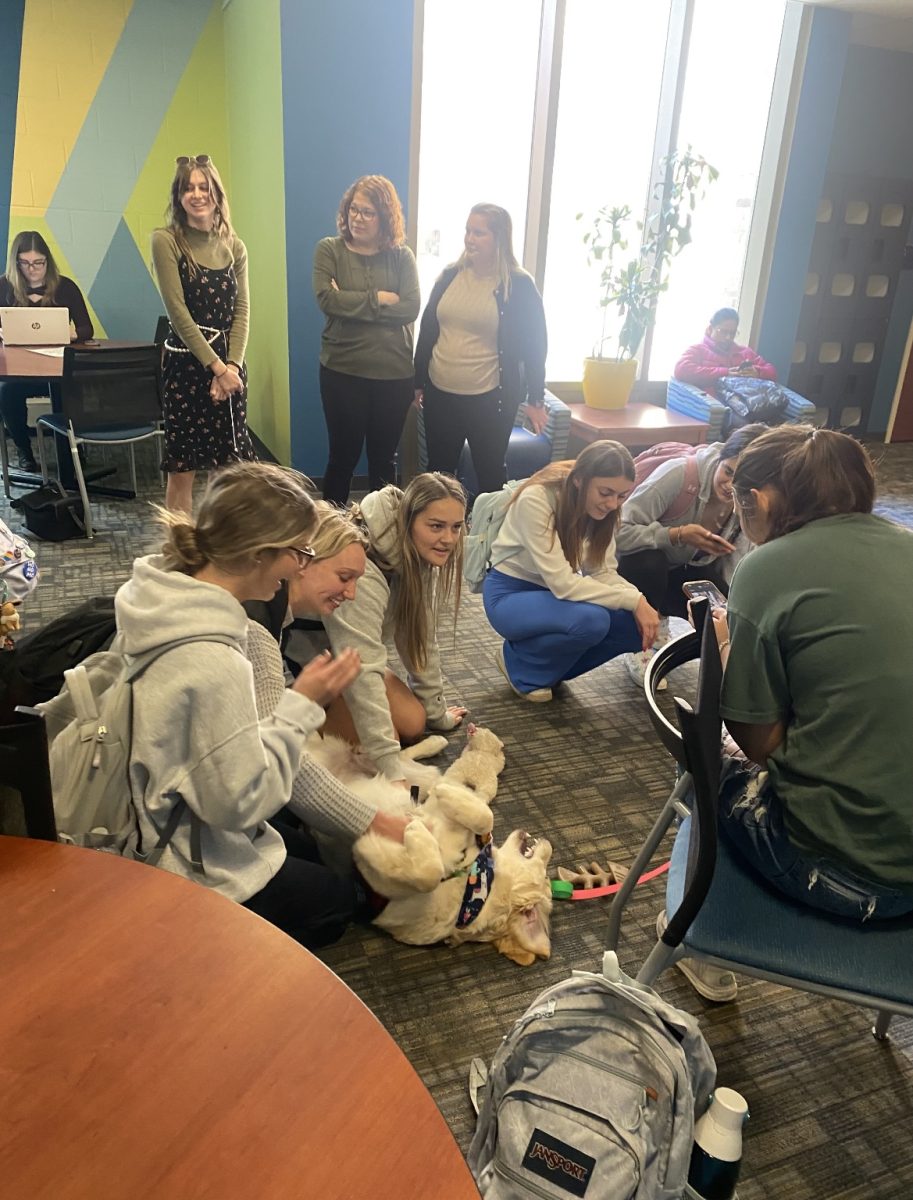 Students gather around dogs from Paws for a Cause for the de-stress event in the library Oct. 24, 2023.