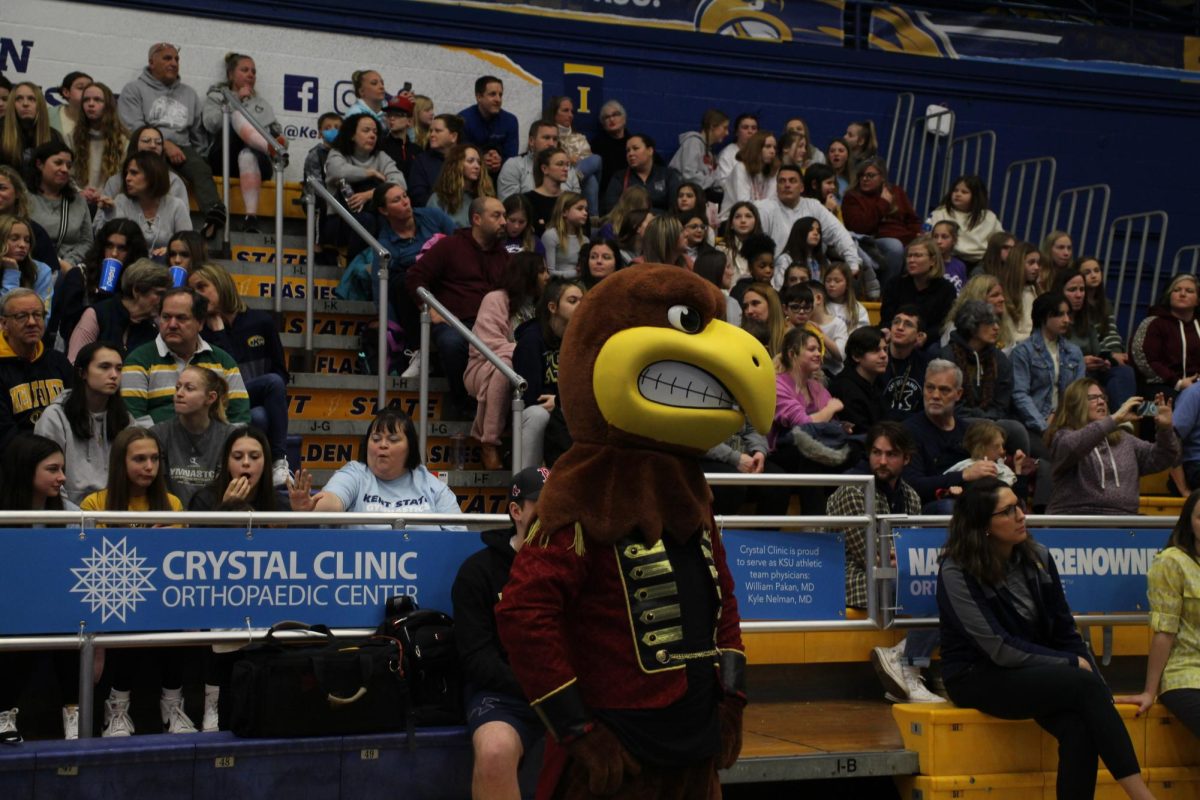 Flash cheering on the gymnastics team on January 29, 2023