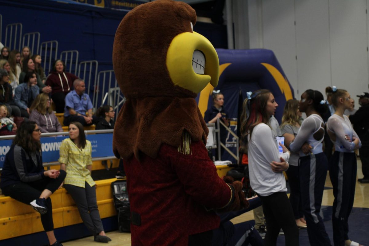 Flash cheering on the gymnastics team on January 29, 2023