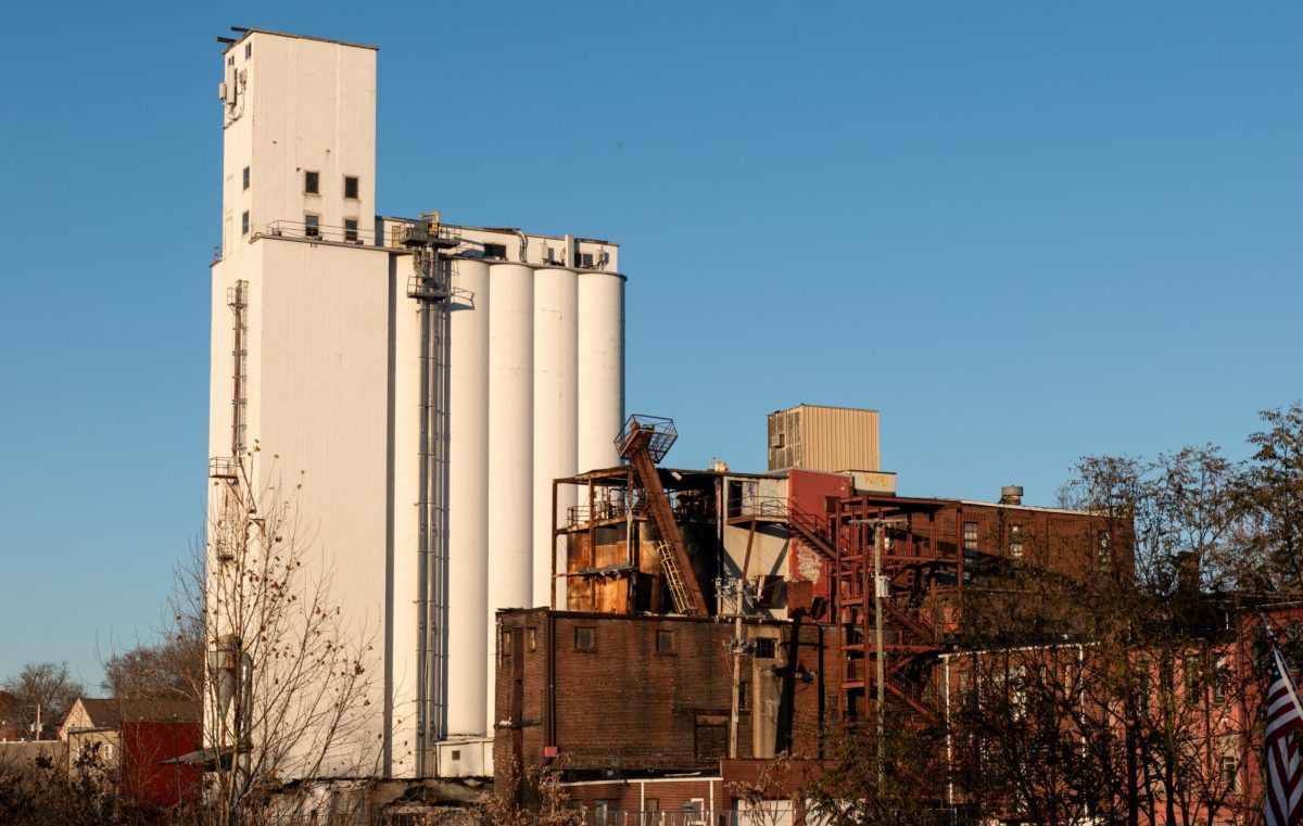 Damage sustained after the Star of the West Mill's fire remains evident as of Nov. 20, 2023. Plants have begun to take root in the exposed interior of the portion of the building lost due to the fire.   