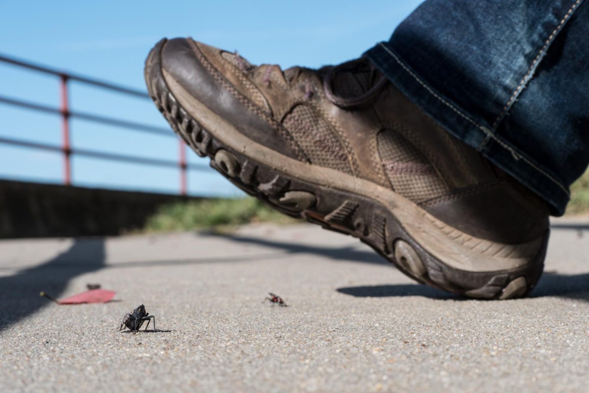 While the spotted lanternfly itself is harmless to humans, it poses a serious threat to agriculture.