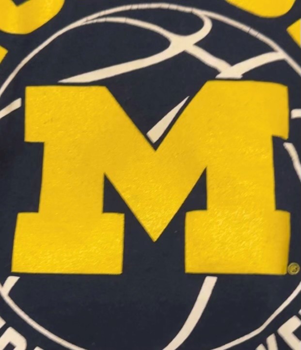 Michigan Wolverines logo