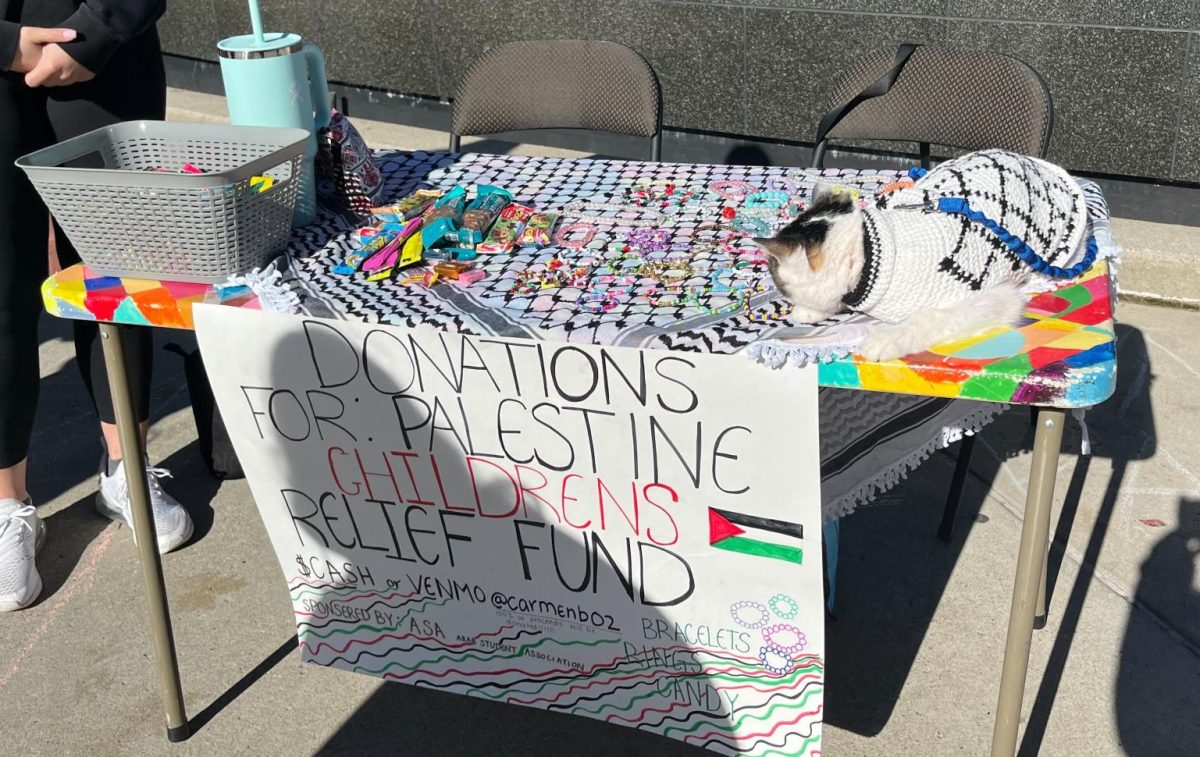 Arab Student Association's fundraiser sells bracelets for Palestine Children's Relief Fund on Nov. 14, 2023. 