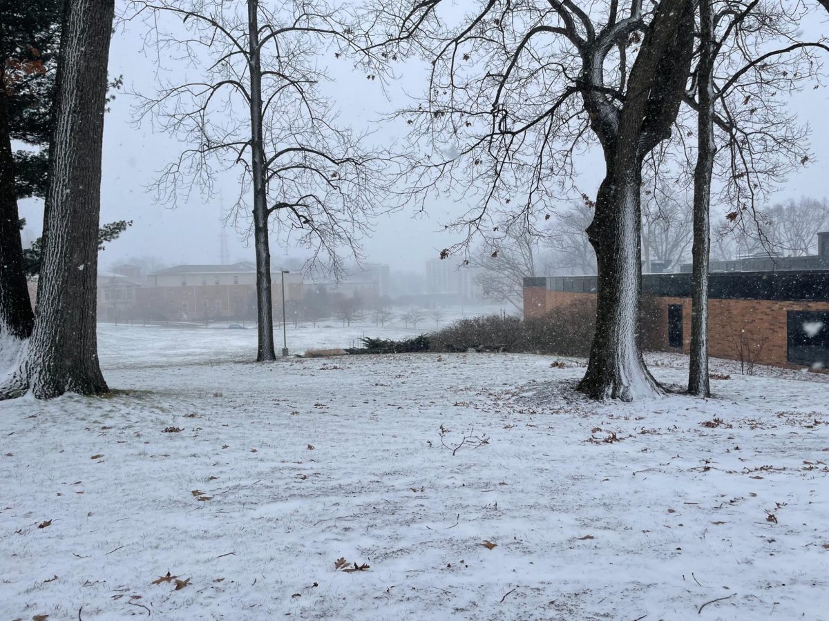 Tri-Towers dorms blocked out by the snow on November 28, 2023. 