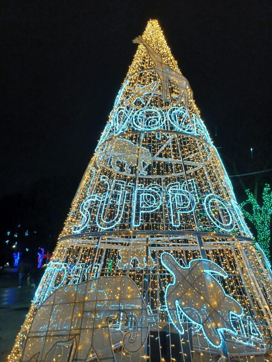 The Cleveland Metropark's Zoo is decorated with lights for the holiday season on on Dec. 29, 2023.