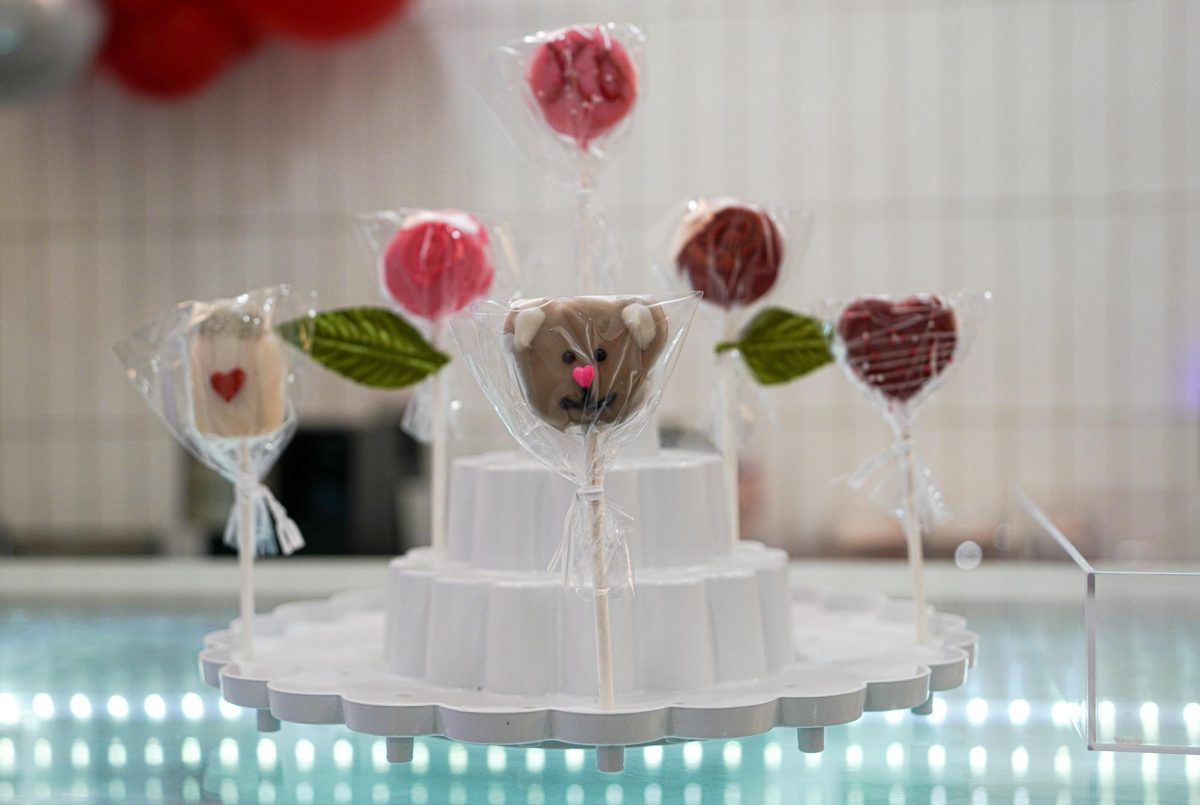  Various Valentine's Day cake pops for sale this season at Daisy Pops on January 31, 2024.