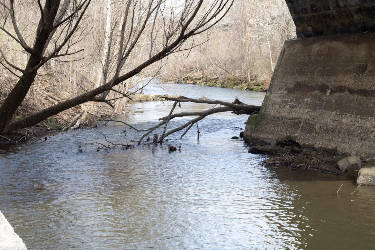 A view from under the tunnel on Summit Street where the Cuyahoga River runs through Kent, Ohio on March 8, 2024.