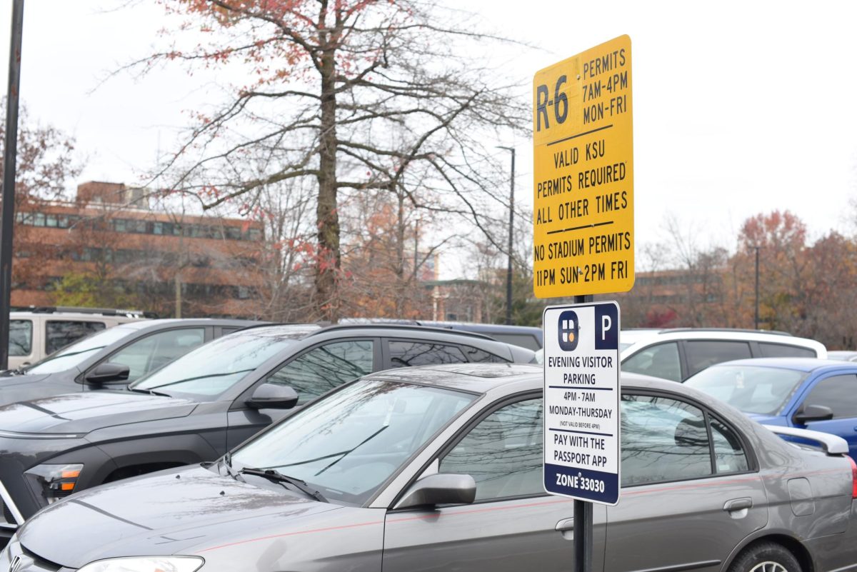 Kent State Parking outside of the library at Kent State University, on November 18, 2024. 