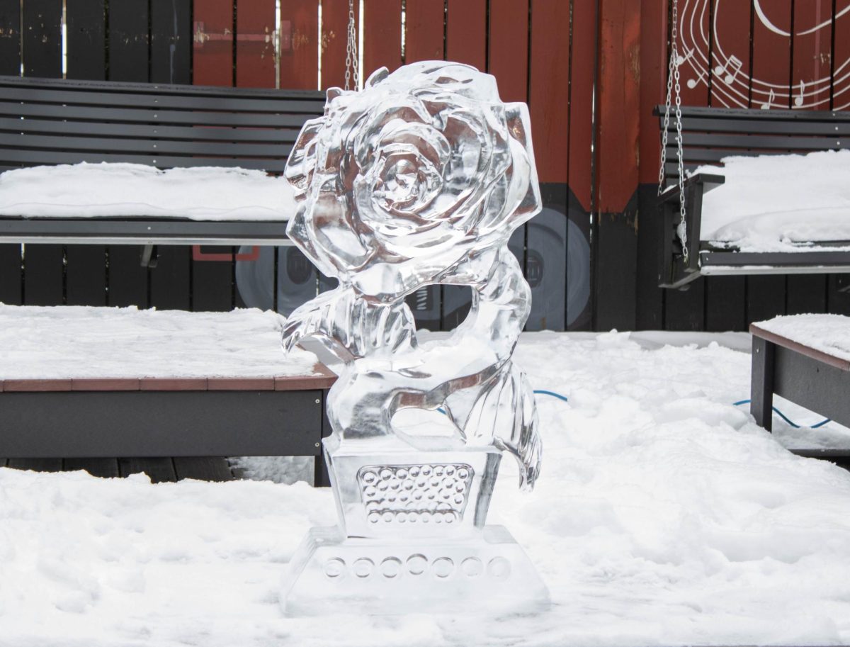 Elegance Ice Creations worker Ken carved out a rose ice sculpture for the Snow Day event in downtown Kent on Jan. 25,2025. 