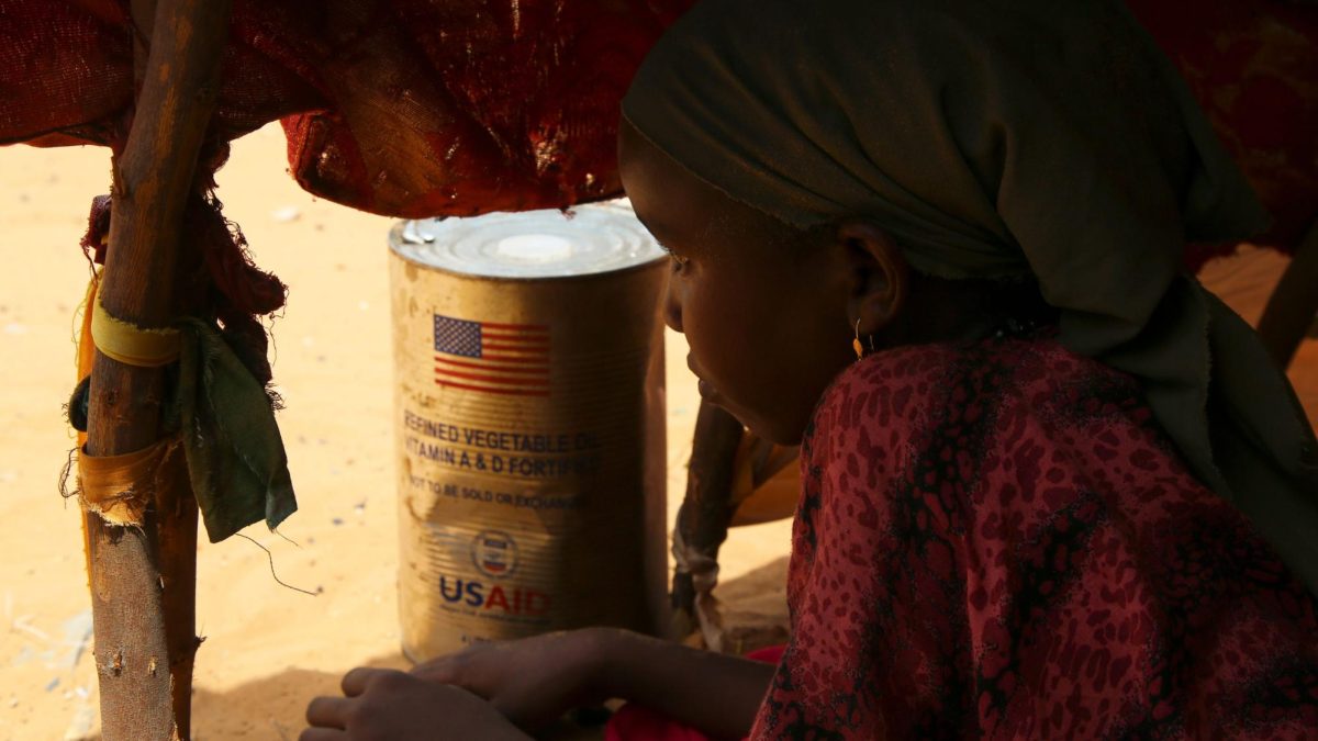 A Somali internally-displaced person (IDP) looks out from her family's makeshift home in Maslah camp on the outskirts of Mogadishu, Somalia, on February 5.